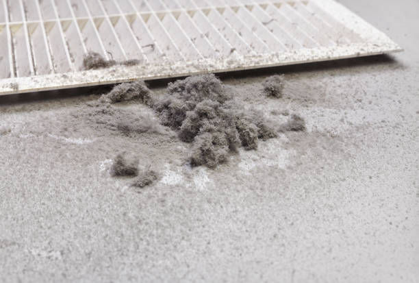 Best HVAC System Cleaning  in Elmont, NY