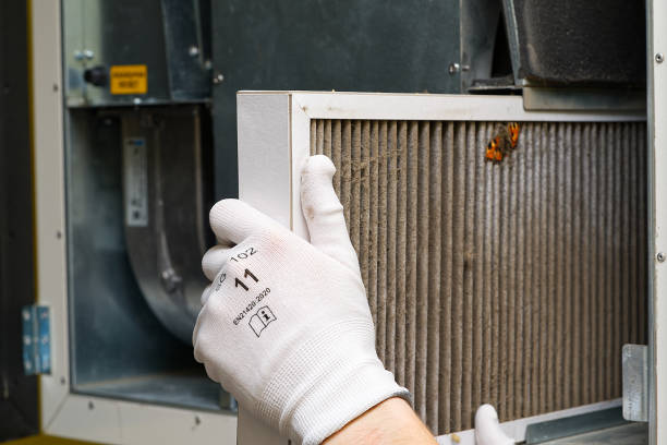 Best Residential Air Duct Cleaning  in Elmont, NY