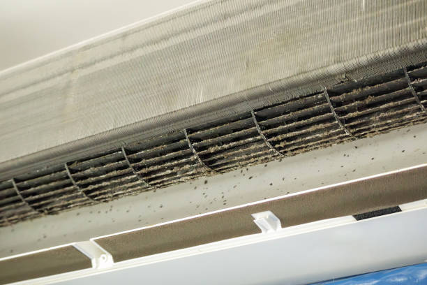 Best Home Air Vent Cleaning  in Elmont, NY